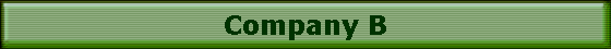 Company B