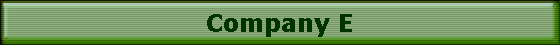 Company E